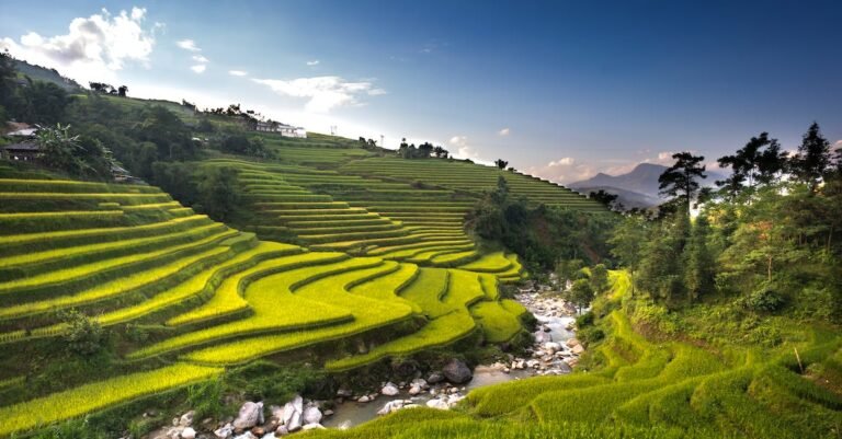 Have Better Travel Experiences Using These Great Tips