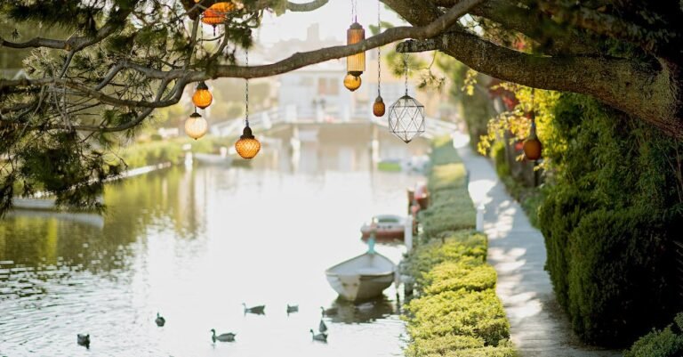 Read These Tips To Plan Your Travels Efficiently.