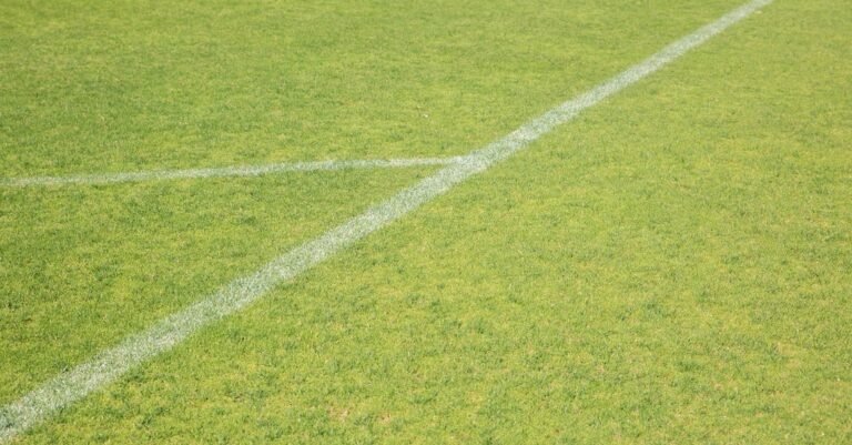Ideal Tips For Those Looking To Become Soccer Pros
