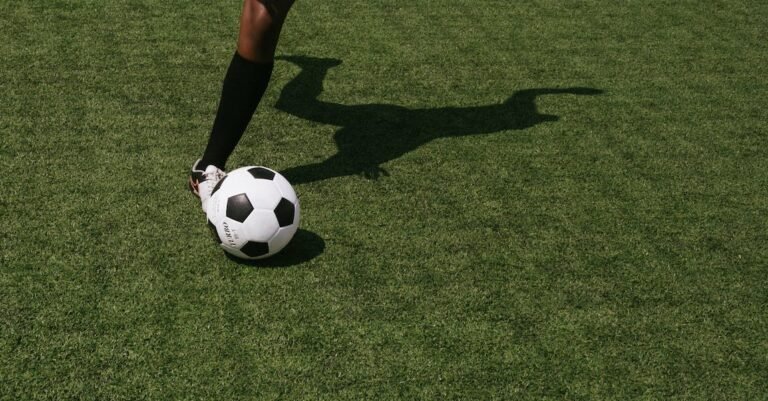 Love Soccer? You Have Got To Read This!