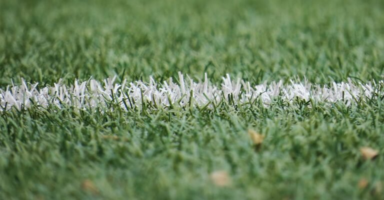 All You Need To Know About Football